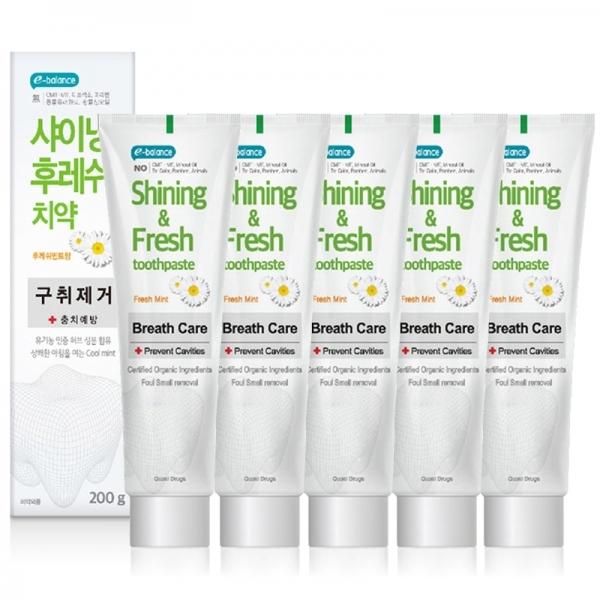금호덴탈제약 샤이닝후레쉬 구취제거 치약 200g x 5EA