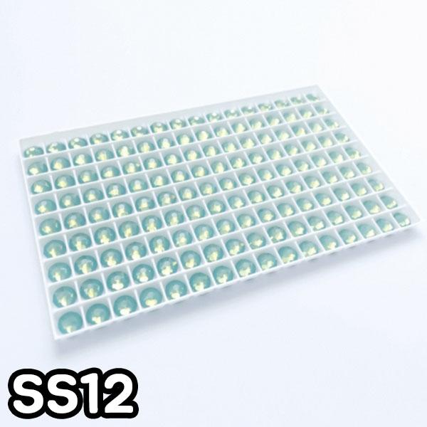 GGD 2088 평스톤 - 퍼시픽오팔 SS12 30개