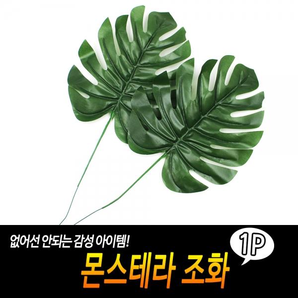 몬스테라 조화
