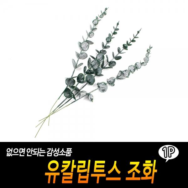 유칼립투스 조화