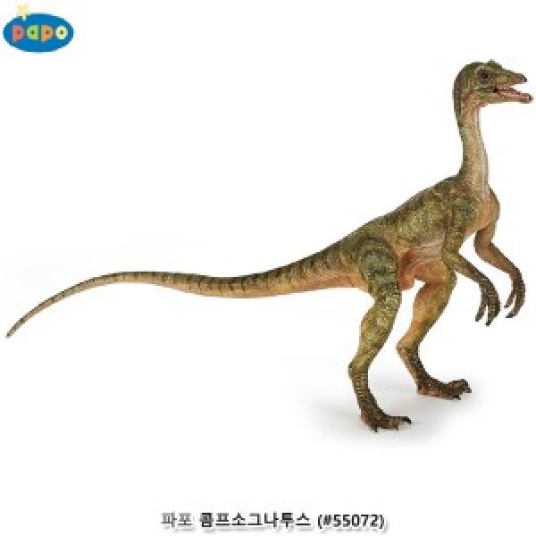 파포 (모형완구) 콤프소그나투스 (#55072)