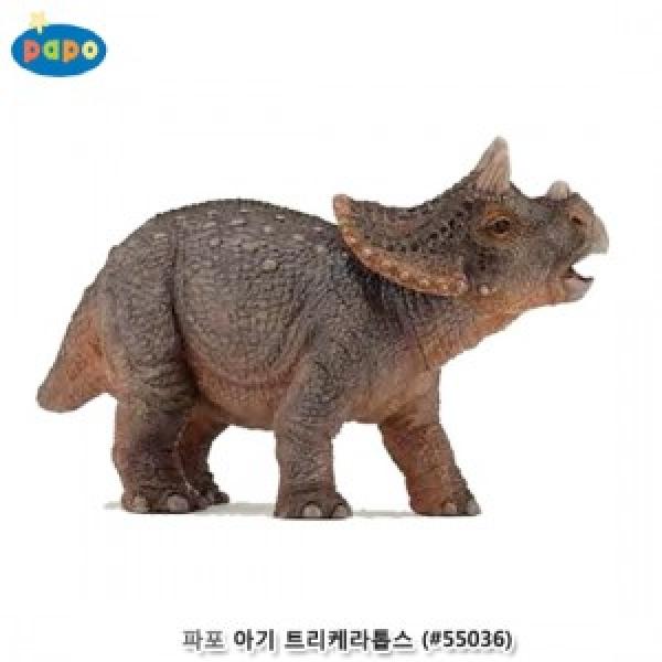 파포 (모형완구) 아기 트리케라톱스 (#55036)