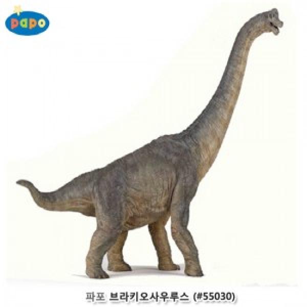 파포 (모형완구) 브라키오사우루스 (#55030)