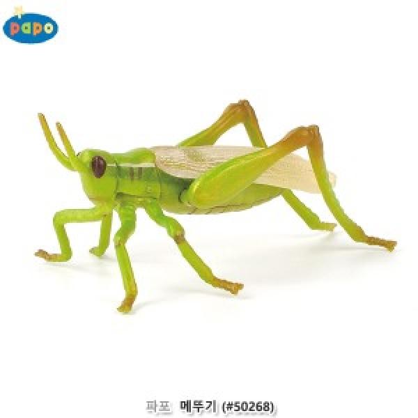 파포 (모형완구) 메뚜기 (#50268)