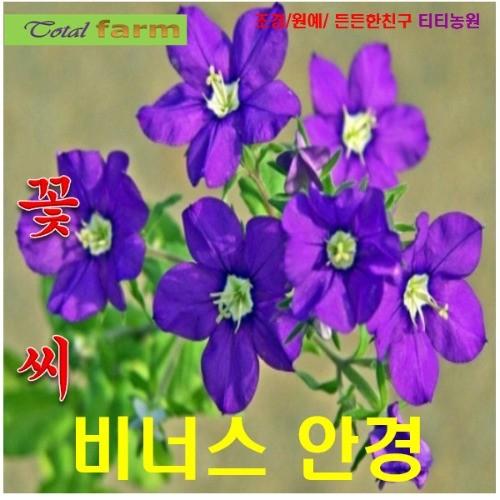 비너스 씨앗 15 립