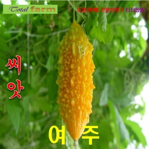 덩굴성 한해살이 여주 씨앗 5 립