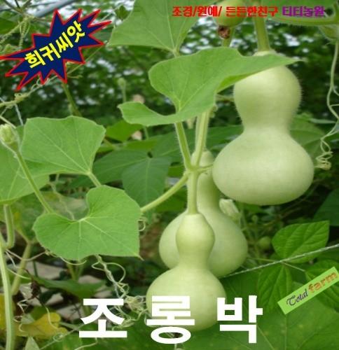 표주박을 만들려면 조롱박 5립