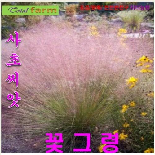 꽃그령 15 립 피플톤의 꽃이 몽환적 분위기
