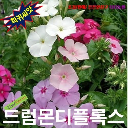 드럼몬디플록스 혼합 15립