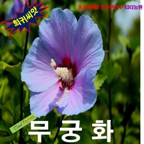 무궁화 홑꽃 혼합10립