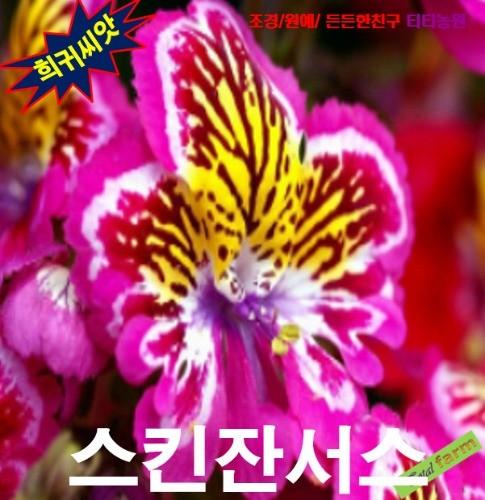 엔젤윙스키잔서스 혼합 15립