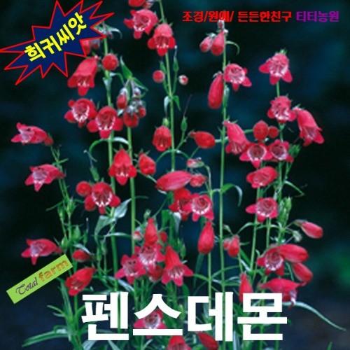 펜스데몬 혼합 15립