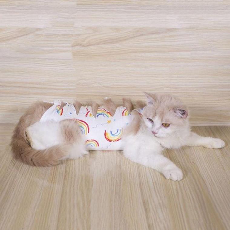 리본 고양이 무지개 중성화복 강아지 수술복