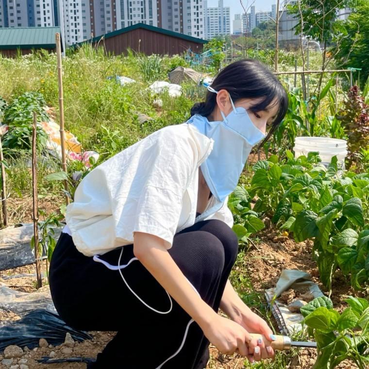 얼굴가리개 얼굴 햇빛가리개 햇볕차단 마스크 블루 얼굴햇빛가리개