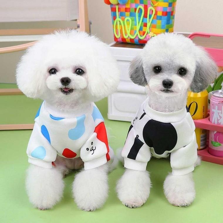 강아지 늦가을 겨울 기모 안감 부드러운 올인원 코디 강아지옷 겨울옷 애견 의류 귀여운