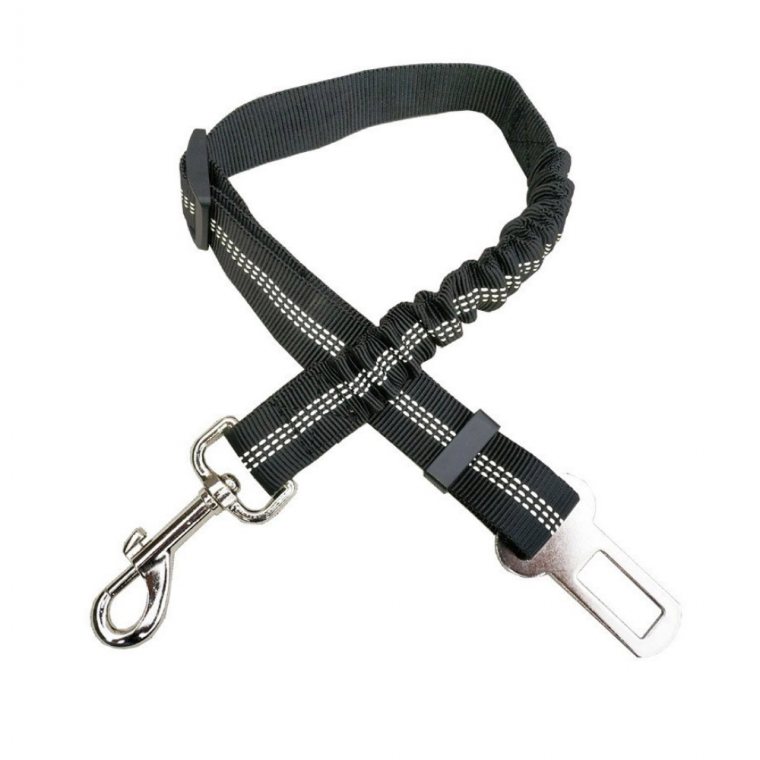 강아지안전벨트