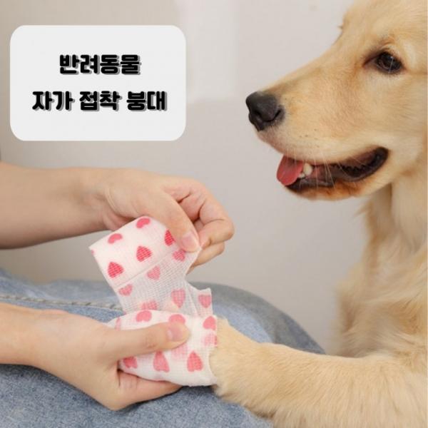강아지 코반 발 붕대 일회용 신발 손가락 탄력 테이프 산책 양말 의료용 동물 병원 용품 AA0091