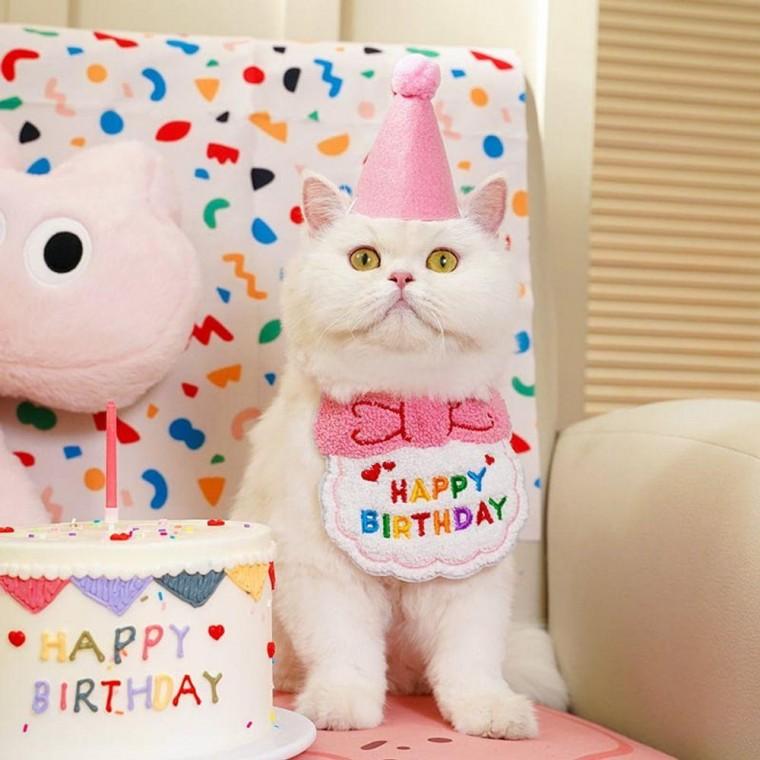 고양이 생일 스카프 반려동물 침받이 스카프
