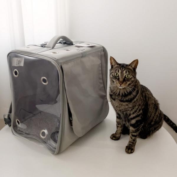 뚜또가또 고양이 슝슝 이동 백팩 이동장 특대사이즈