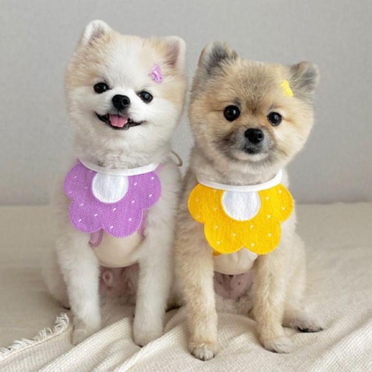 강아지 고양이 스카프 턱받이 애견침받이 스카프