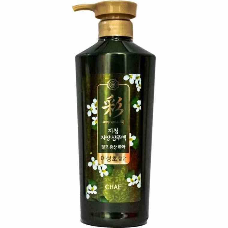 채 지청 자양 샴푸액 달모증상 완화 어성초 520ml