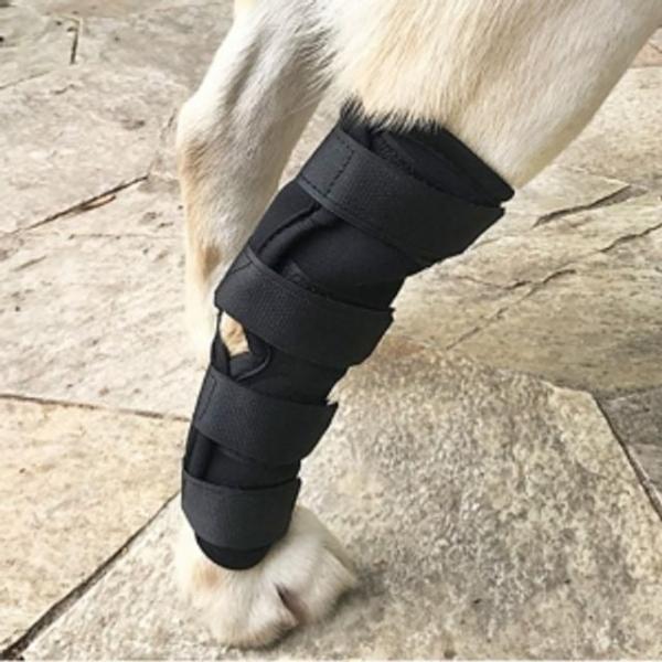 펫츠런 강아지 다리보호대 M 강아지다리보호대 애견다리보호대