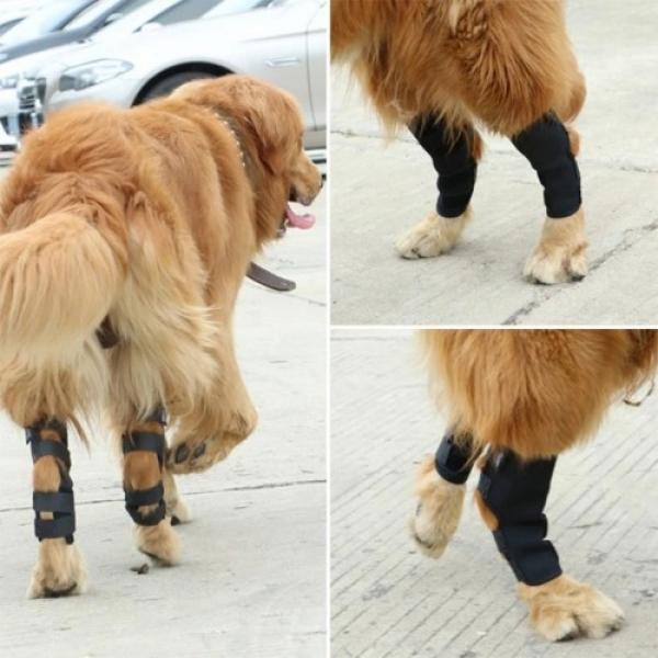 반려동물 관절 슬개골 보호대 서포터
