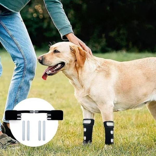 강아지 앞다리 보호대 세트 애견용품 슬개골 탈골 보조기