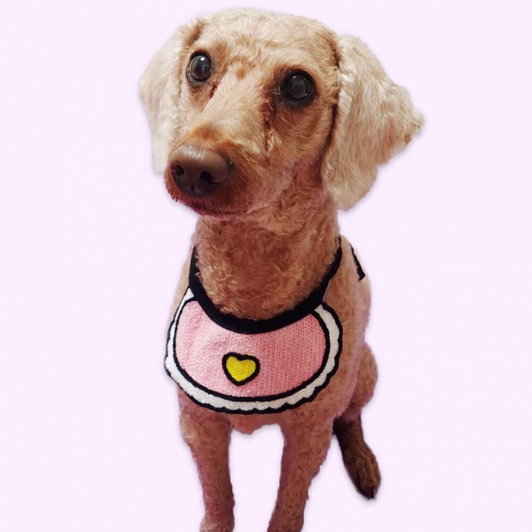 SFr 반려동물 턱받침 A 대