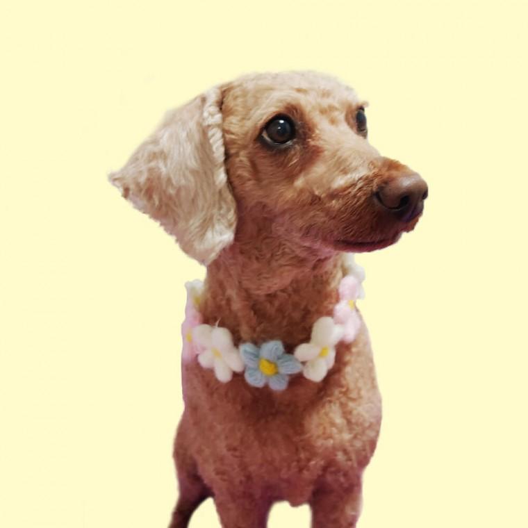 SFr 반려동물 꽃 목걸이 M