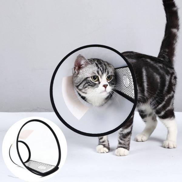 강아지 고양이 넥카라 상처보호대 깔대기 소형 중형