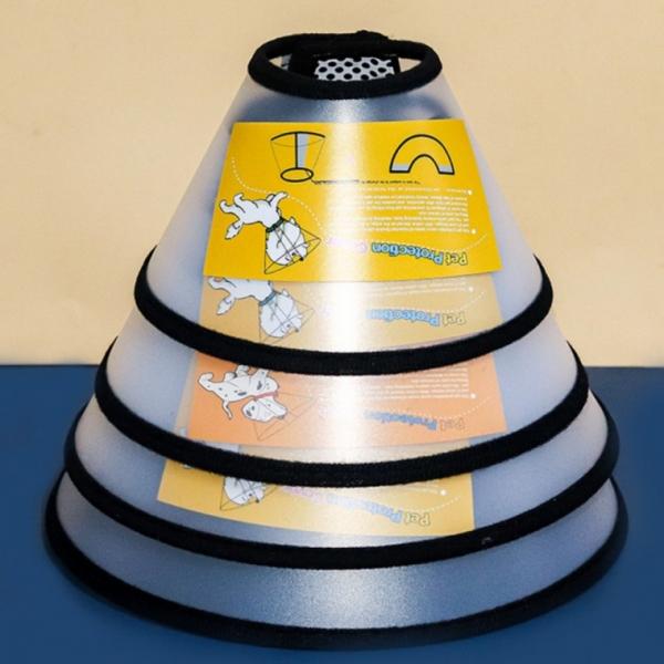 강아지 고양이 넥카라 목보호대