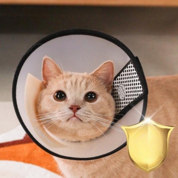 [보리별] 강아지 고양이 넥카라 방수 저자극 목보호대 중성화 피부보호 가나디 깔대기 3size