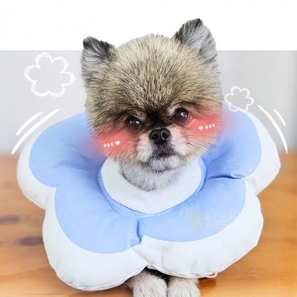 강아지 넥카라 해바라기 목보호대 고양이 깔대기 넥쿠션 PE