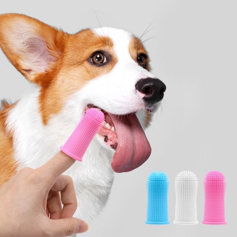 반려동물 실리콘 핑거 치아관리 칫솔 3color H-00050