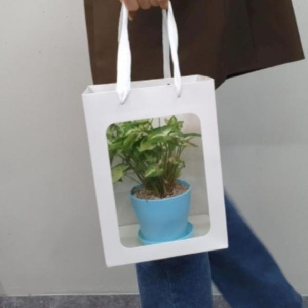 20x30 직사각 선물 투명창 종이가방 쇼핑백 선물용 종이가방 무지 윈도우 바닥넓은화분 꽃