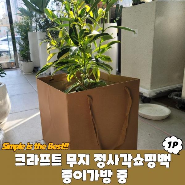 크라프트 무지 정사각쇼핑백 종이가방 중