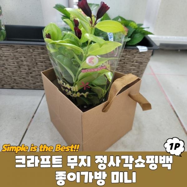 크라프트 무지 정사각쇼핑백 종이가방 미니