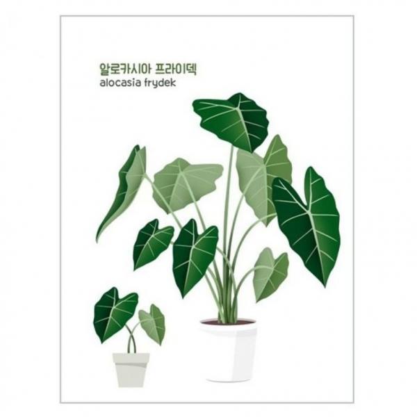 스티커몰 데코스티커 알로카시아 DT 8103 우산꾸미기 이모티콘 DIY 투명 데코스티커 다이어리꾸미기