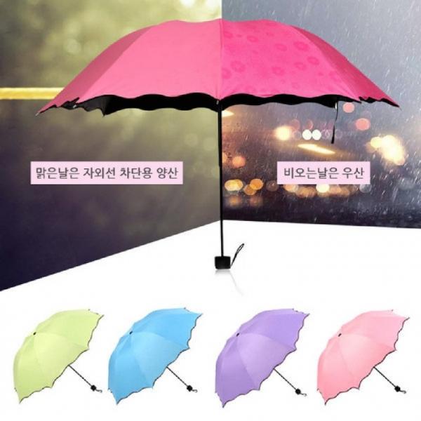 비오면 벚꽃이 플라워 요술양우산 암막 양우산 미니양산 양산