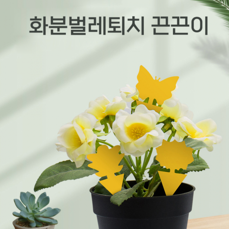 뿌리파리끈끈이 1P 초파리 벌래 진딧물 개각충 날파기 모기 화분벌레 끈끈이