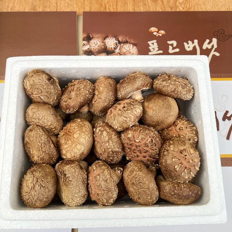생 표고버섯 선물세트 1kg 국내산 (상품) 농장 산지 직송 부모님 선생님 명절 답례품