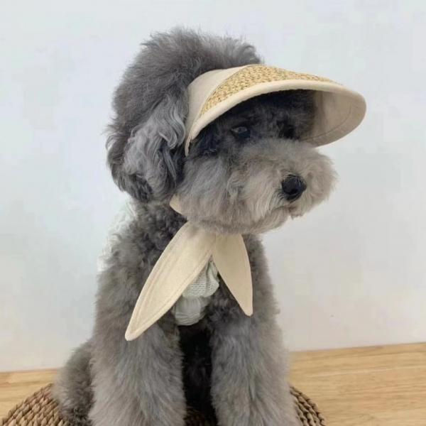 반려견 반려묘 여름 썬캡 모자 강아지 고양이 애견 외출 유치원