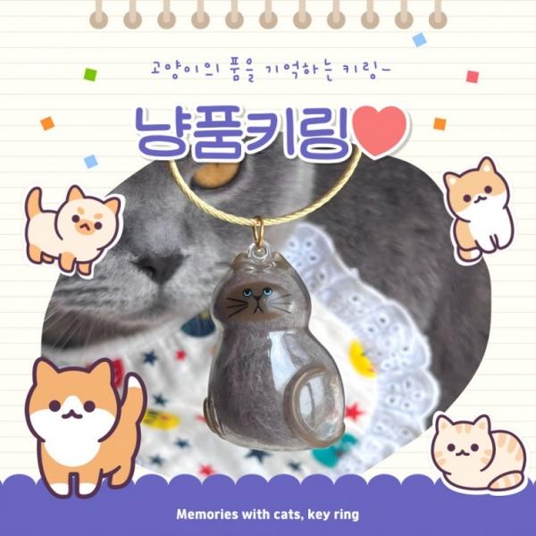 [별별창고] 고양이 털 보관 키링 기억 캡슐 투명 메모리 추억 메모리얼 키홀더