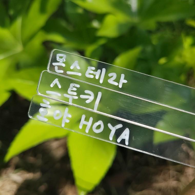 투명 아크릴 화분 이름표 꽂이 12p 스틱형 식물네임택