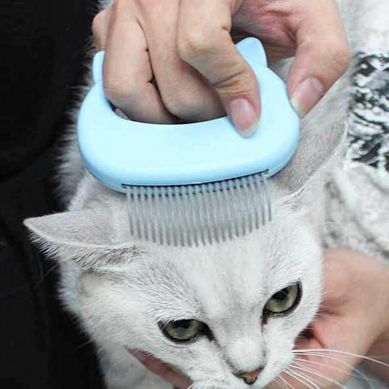 고양이 힐링 브러쉬 마사지 그루머 죽은털 제거(특가)