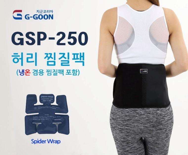 허리찜질팩 냉찜질 온찜질 냉온겸용 찜질팩 GSP-250 국산제품