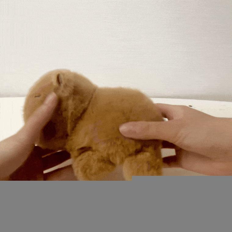 커튼악세사리 인테리어 카피바라인형 커튼타이백 집게