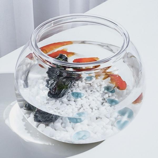 베타 키우기 원형 플라스틱 어항 18x16cm 구피 수조