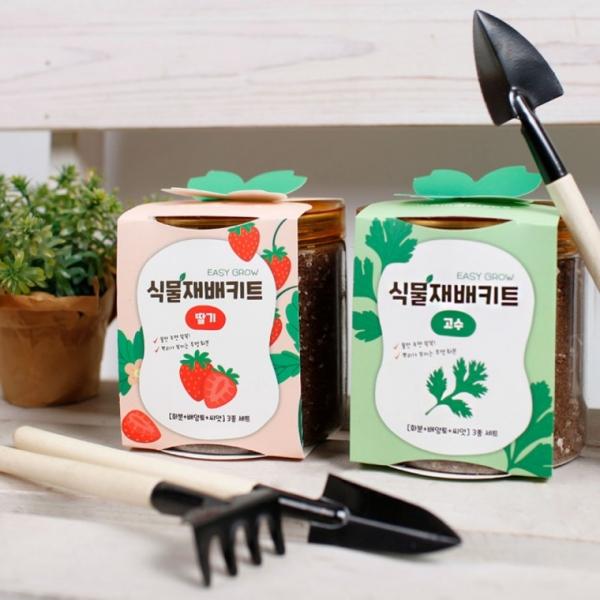 방울토마토 딸기 허브 키우기 이지그로우 재배 세트